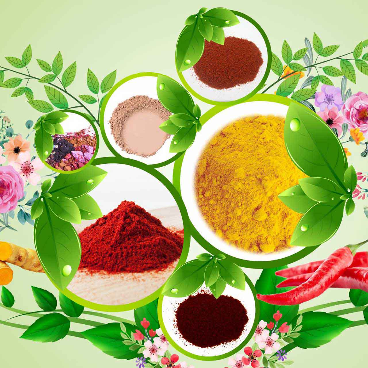 Natural Food Colours pigment manufacturer and supplier in India